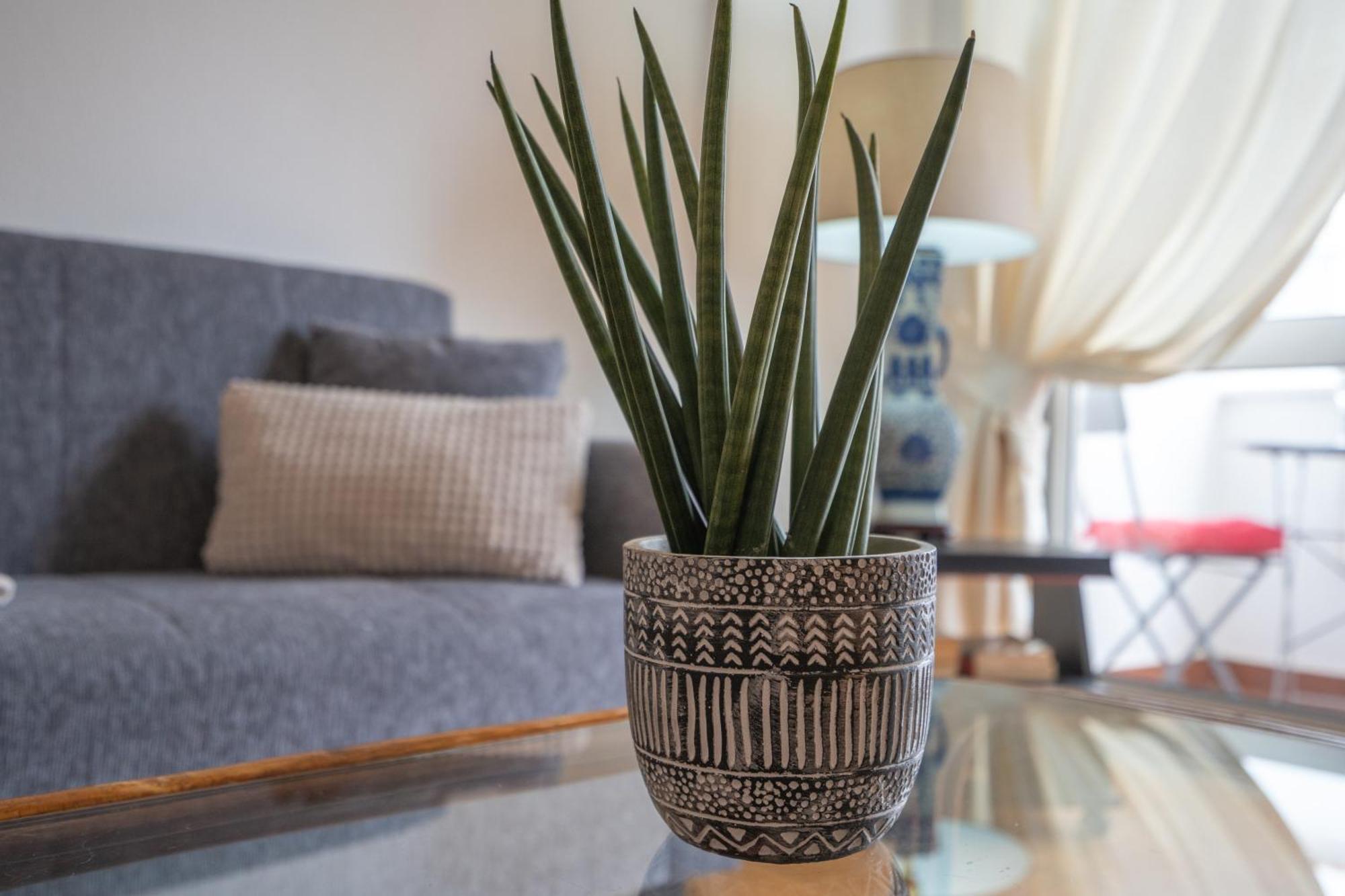 Apartamento Escadinhas لاغوس المظهر الخارجي الصورة